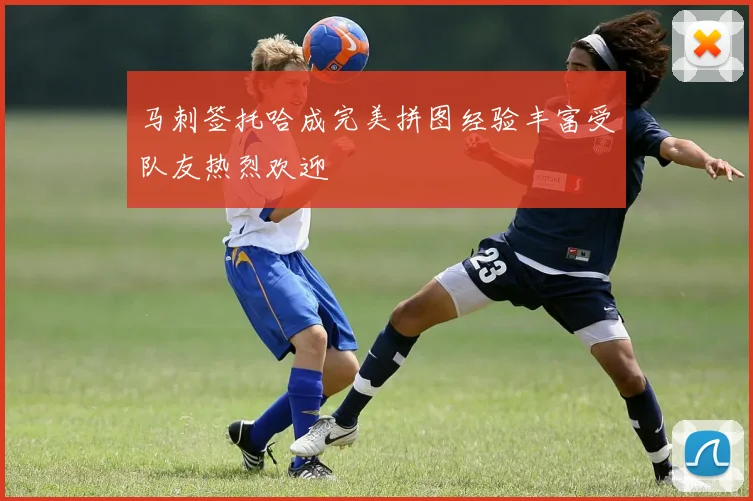 马刺签托哈成完美拼图经验丰富受队友热烈欢迎