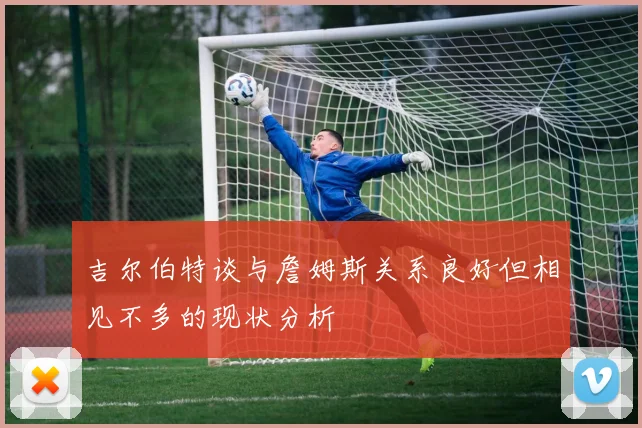 吉尔伯特谈与詹姆斯关系良好但相见不多的现状分析